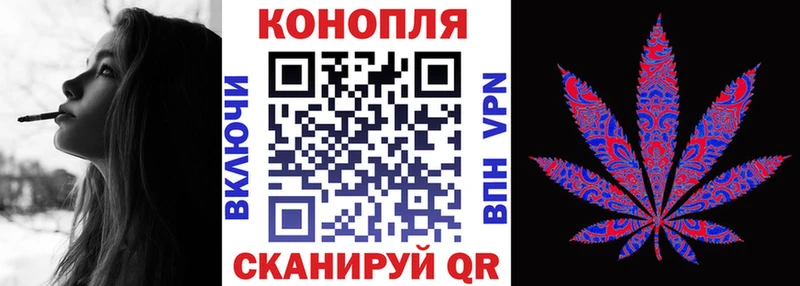 Бошки Шишки планчик  Купить закладки  Нарьян-Мар 